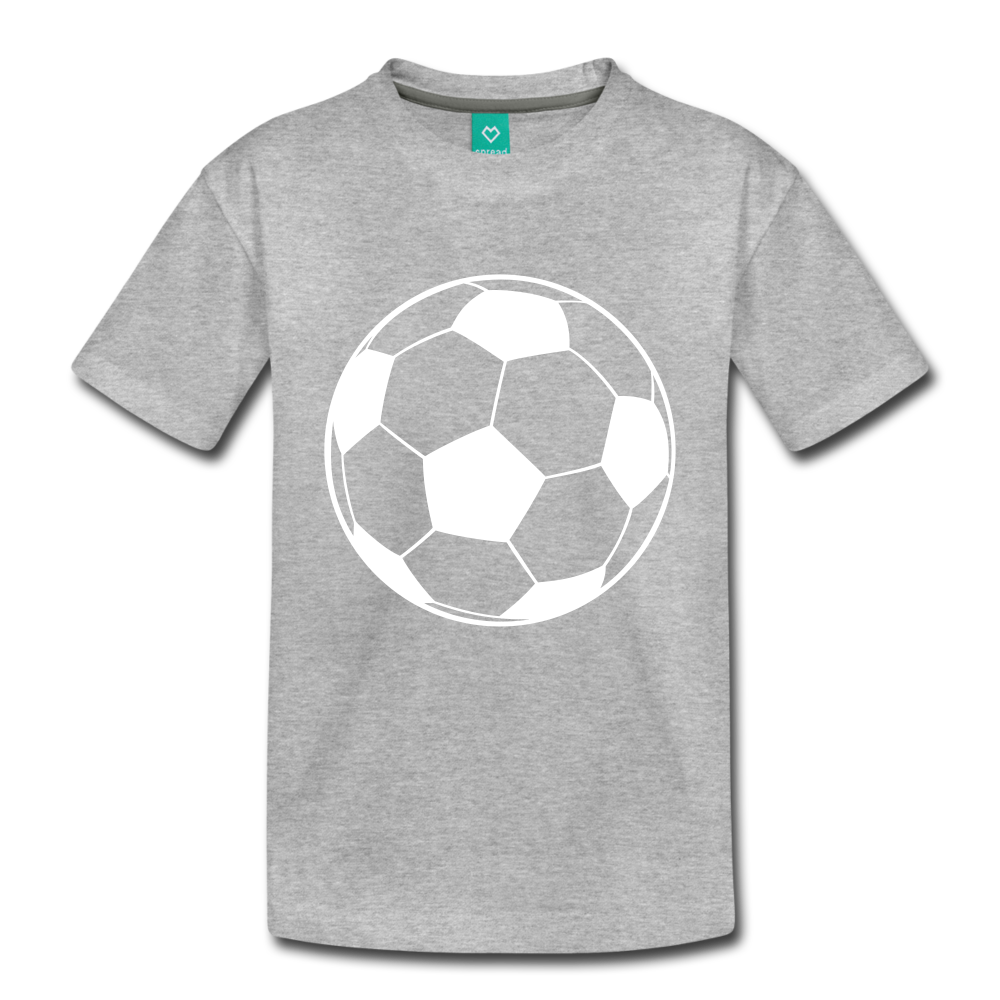 Toddler Premium T-Shirt - heather gray