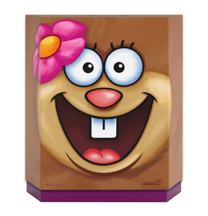 SpongeBob SquarePants ULTIMATES! Wave 1 Set of 2 Action Figures